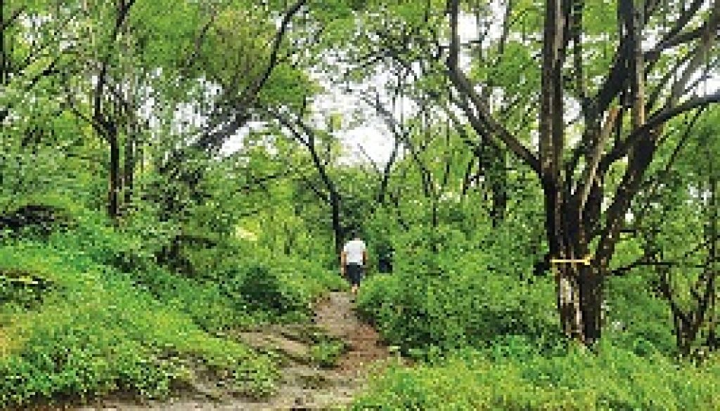 RFD_News_call_for_chipko_II