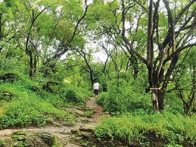 RFD_News_call_for_chipko_II